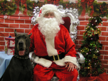 Pics with Santa , PHS & SPCA fundraiser
