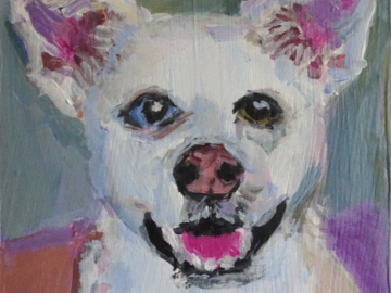 6x6" Dog Portrait