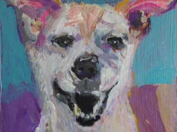 6x6" Dog Portrait