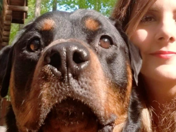 Canine Behavior Consultant - Behaviorist