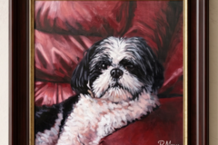 Request Quote: Custom Acrylic Pet Portraits & Hand-Drawn Pet Art - Hialeah, FL