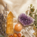 Human & Animal Reiki in NYC - Nationwide
