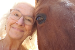 Request Quote: Multidimensional Long Distance Healing - Animal Reiki Care - Nationwide