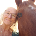 Multidimensional Long Distance Healing - Animal Reiki Care - Nationwide
