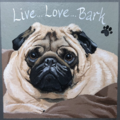Custom Pet Portraits  - Nationwide
