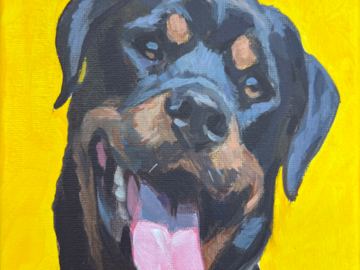 Dog