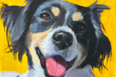 Request Quote: Custom Acrylic Pet Portraits – Professional Painter - West New York, NJ