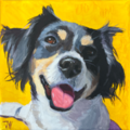 Custom Acrylic Pet Portraits – Professional Painter - West New York, NJ