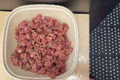 Personalized Canine & Feline Nutrition Consultation - Venice, FL