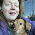 Give Your Pet A Low Stress Trip | Flight Nanny - Nationwide
