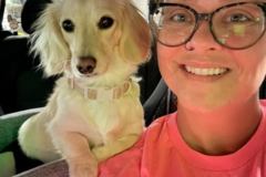 Request Quote: Pet Travel With Love - Nationwide