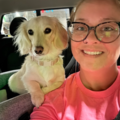 Pet Travel With Love - Nationwide