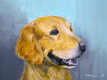 A retriever