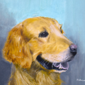 Custom Oil Pet Portraits - Nationwide