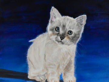Kitten 