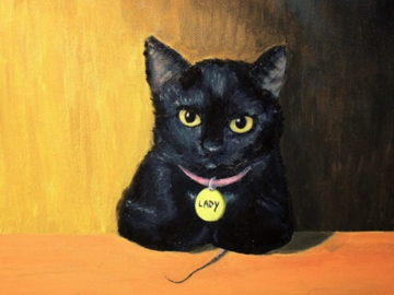 Black Kitten