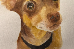 Request Quote: Affordable Watercolor Pet Paintings - Nationwide