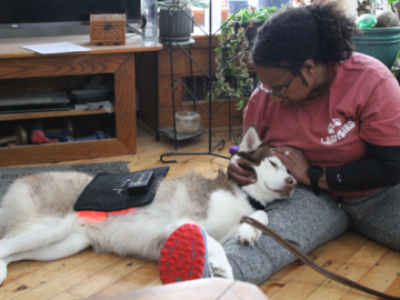 Canine session with bodywork and red light
