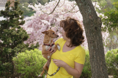 Request Quote: Natural Wellness Through Healing Touch - Idaho Falls, ID