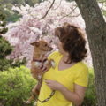 Natural Wellness Through Healing Touch - Idaho Falls, ID