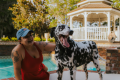 Request Quote: Premium Pet Care Provider - In Home Pet Sitting - Palm Harbor, FL