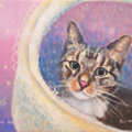 Pet Portrait Artist - Acrylic Painting - Schaumburg, IL