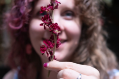 Request Quote: Animal Healer and Communicator - Nationwide