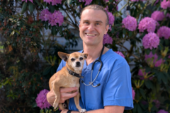 Request Quote: Compassionate & Peaceful In-Home Euthanasia 24/7 - Bridgeton, NJ