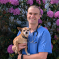 Compassionate & Peaceful In-Home Euthanasia 24/7 - Bridgeton, NJ
