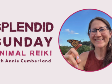 Spendid Sunday Animal Reiki with Annie Cumberland
