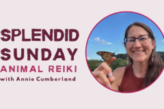 Request Quote: Learn Animal Reiki for Animal Guardians! - Glenville, PA