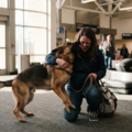 Hawaii & Alaska Pet Transport | Omni Pet Transport - Nationwide