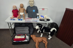 Request Quote: We teach pet and human cpr aed and first aid classes - West Palm Beach, FL
