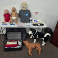 We Teach Pet and Human CPR and First Aid Classes - West Palm Beach, FL