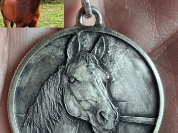 This is Bodie. My client's dear companion of nearly 20 years. I strive to capture bits of personality into the pieces. She described him as the special horse that was always first to the gate.