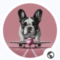 Furry Members Only - Pet Taxi and Flight Nanny  - Nationwide