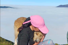 Request Quote: Rachel - Animal Communicator - Nationwide