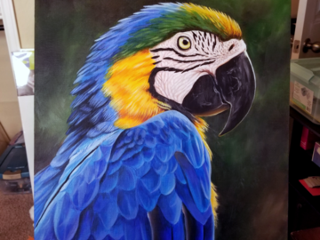 Macaw Parrot Portrait Painting