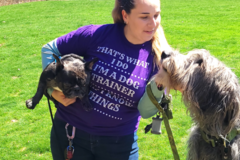 Request Quote: Alexia Miller | Dog Training Specialist - Bedford, NH