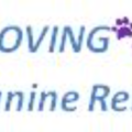 Loving Paws| Canine Reiki - Nationwide