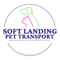 Your Pet's Favorite Road Trip Starts Here - Nationwide
