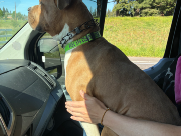 Doug riding shotgun and loving the view. 