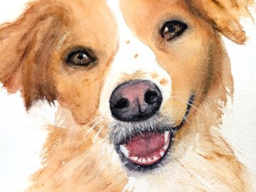 Custom hand-painted watercolor portrait of a mixed-breed, capturing their unique personality.