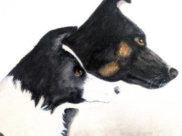Hand-painted watercolor fine art portrait highlighting the stunning contrast, rich textures, and alert profiles of two beautiful dogs.