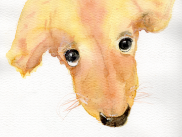 Hand-painted illustrative fine art portrait capturing the pure, gentle innocence of a beloved canine companion.