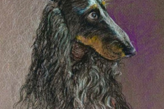 Request Quote: Your Pet Forever in Art | Portrait Artist - Nationwide