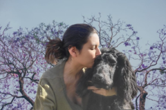 Request Quote: Distant Reiki Healing For Dogs - Nationwide