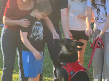 Family Reunite