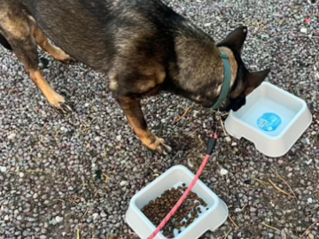 Water break