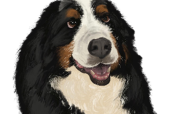 Request Quote: Emmanuela Ahianti | Pet Portrait Artist - Nationwide